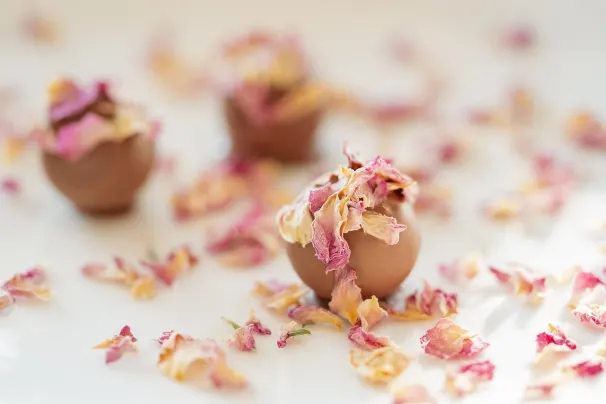 Kaszinó Lotus Asia Android/iOS Alkalmazás